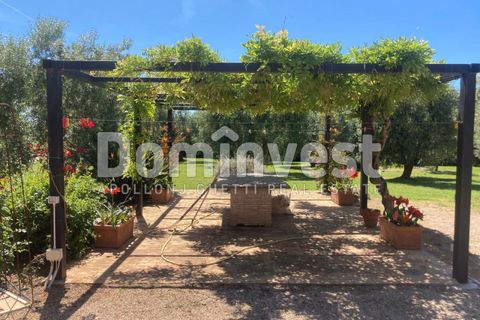 Landejendom i Capalbio, Grosseto, Capalbio - € 980.000 | Ref: v-0072 - foto 10