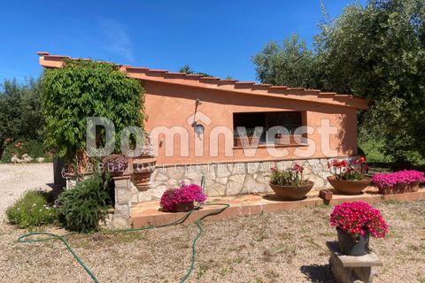 Landejendom i Capalbio, Grosseto, Capalbio - € 980.000 | Ref: v-0072 - foto 22