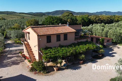 Landejendom i Capalbio, Grosseto, Capalbio - € 980.000 | Ref: v-0072 - foto 31