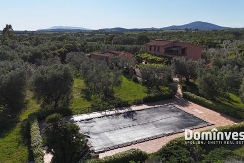 Landejendom i Capalbio, Grosseto, Capalbio - € 980.000 | Ref: v-0072 - foto 32