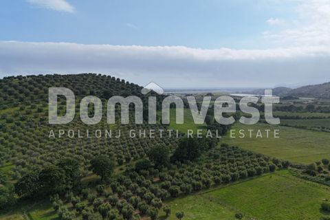 Landejendom i Capalbio, Grosseto, Capalbio - € 1.500.000 | Ref: v-0073 - foto 1