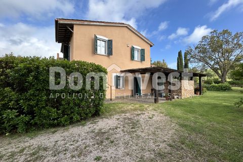 Landejendom i Capalbio, Grosseto, Capalbio - € 1.500.000 | Ref: v-0073 - foto 15