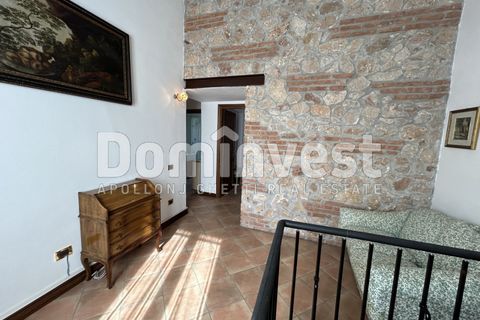 Landejendom i Capalbio, Grosseto, Capalbio - € 1.500.000 | Ref: v-0073 - foto 16