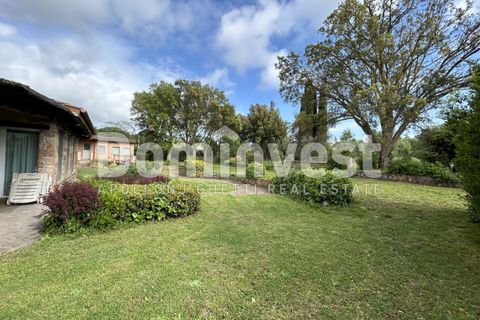 Landejendom i Capalbio, Grosseto, Capalbio - € 1.500.000 | Ref: v-0073 - foto 19