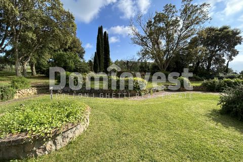Landejendom i Capalbio, Grosseto, Capalbio - € 1.500.000 | Ref: v-0073 - foto 21