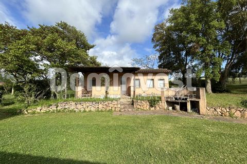Landejendom i Capalbio, Grosseto, Capalbio - € 1.500.000 | Ref: v-0073 - foto 22