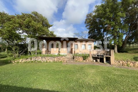 Landejendom i Capalbio, Grosseto, Capalbio - € 1.500.000 | Ref: v-0073 - foto 23