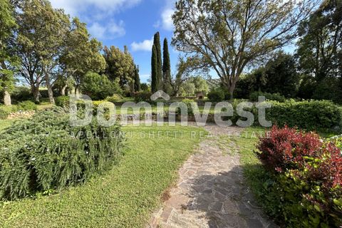 Landejendom i Capalbio, Grosseto, Capalbio - € 1.500.000 | Ref: v-0073 - foto 27