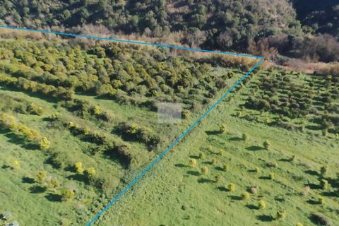 Farm hus i Monchique, Faro, Monchique - € 350.000 | Ref: 1756 - foto 6