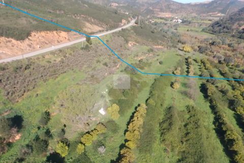 Farm hus i Monchique, Faro, Monchique - € 350.000 | Ref: 1756 - foto 7