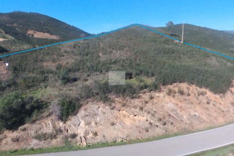 Farm hus i Monchique, Faro, Monchique - € 350.000 | Ref: 1756 - foto 8