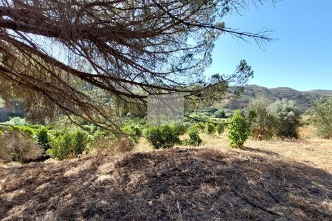Farm hus i Monchique, Faro, Monchique - € 350.000 | Ref: 1756 - foto 14