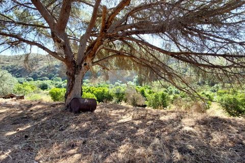 Farm hus i Monchique, Faro, Monchique - € 350.000 | Ref: 1756 - foto 16