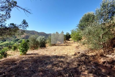 Farm hus i Monchique, Faro, Monchique - € 350.000 | Ref: 1756 - foto 18