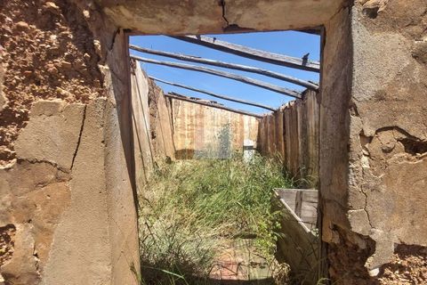 Farm hus i Monchique, Faro, Monchique - € 350.000 | Ref: 1756 - foto 28