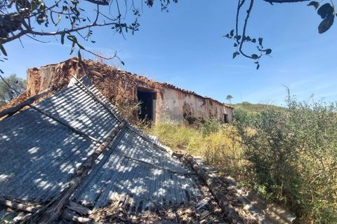 Farm hus i Monchique, Faro, Monchique - € 350.000 | Ref: 1756 - foto 29
