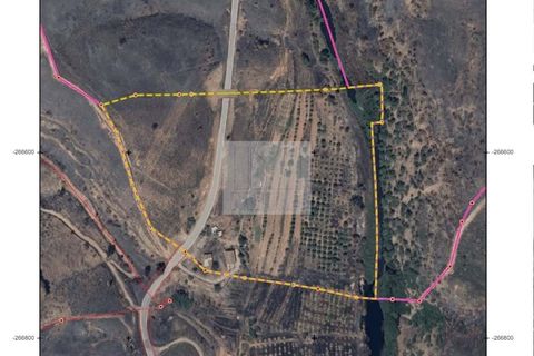 Farm hus i Monchique, Faro, Monchique - € 350.000 | Ref: 1756 - foto 31