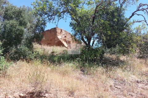 Farm hus i Monchique, Faro, Monchique - € 350.000 | Ref: 1756 - foto 36