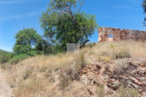 Farm hus i Monchique, Faro, Monchique - € 350.000 | Ref: 1756 - foto 38