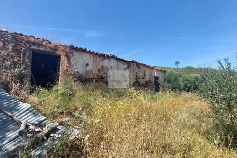 Farm hus i Monchique, Faro, Monchique - € 350.000 | Ref: 1756 - foto 41