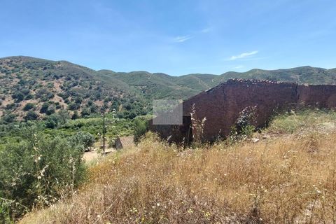 Farm hus i Monchique, Faro, Monchique - € 350.000 | Ref: 1756 - foto 44