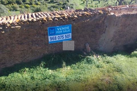 Farm hus i Monchique, Faro, Monchique - € 350.000 | Ref: 1756 - foto 45