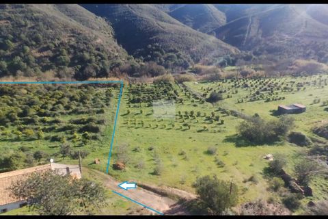 Farm hus i Monchique, Faro, Monchique - € 350.000 | Ref: 1756 - foto 48