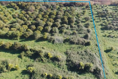 Farm hus i Monchique, Faro, Monchique - € 350.000 | Ref: 1756 - foto 49