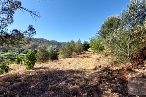 Gårdshus i Monchique, Faro, Monchique - € 350 000 | Ref: 1756 - foto 17