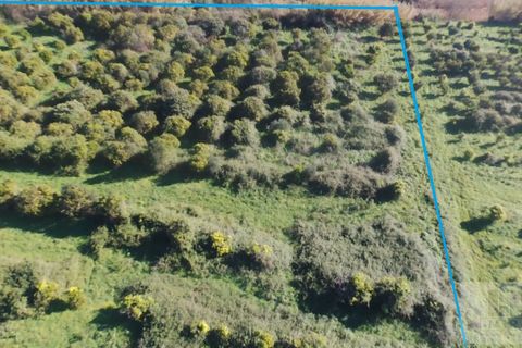 Gårdshus i Monchique, Faro, Monchique - € 350 000 | Ref: 1756 - foto 48