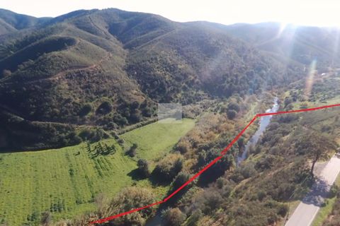 Farm hus i Monchique, Faro, Monchique - € 350.000 | Ref: 1757 - foto 5