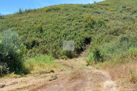 Farm hus i Monchique, Faro, Monchique - € 350.000 | Ref: 1757 - foto 8