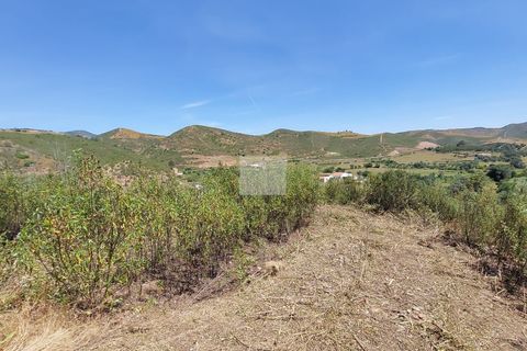 Farm hus i Monchique, Faro, Monchique - € 350.000 | Ref: 1757 - foto 22