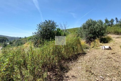 Farm hus i Monchique, Faro, Monchique - € 350.000 | Ref: 1757 - foto 24
