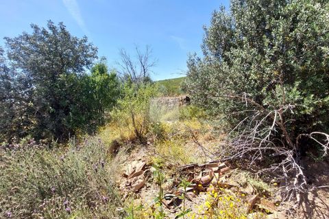 Farm hus i Monchique, Faro, Monchique - € 350.000 | Ref: 1757 - foto 25
