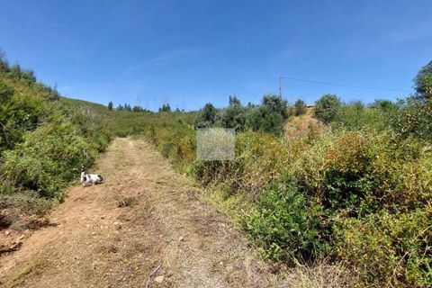 Farm hus i Monchique, Faro, Monchique - € 350.000 | Ref: 1757 - foto 28