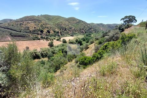 Farm hus i Monchique, Faro, Monchique - € 350.000 | Ref: 1757 - foto 29