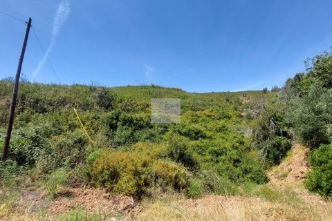 Farm hus i Monchique, Faro, Monchique - € 350.000 | Ref: 1757 - foto 31