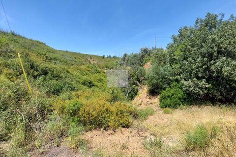 Farm hus i Monchique, Faro, Monchique - € 350.000 | Ref: 1757 - foto 33