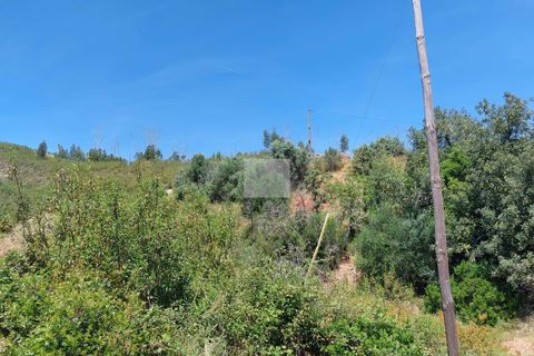 Farm hus i Monchique, Faro, Monchique - € 350.000 | Ref: 1757 - foto 34