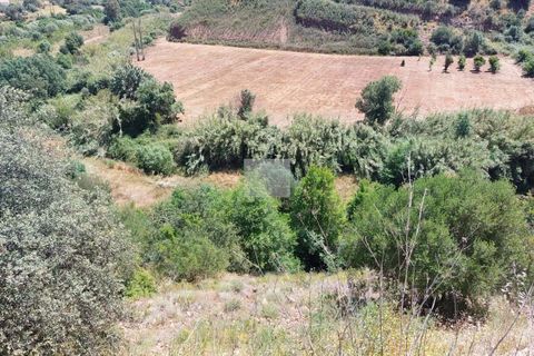 Farm hus i Monchique, Faro, Monchique - € 350.000 | Ref: 1757 - foto 35