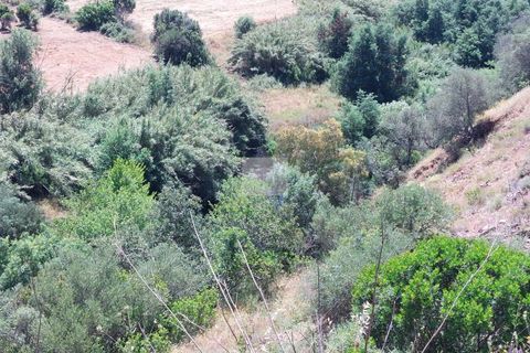 Farm hus i Monchique, Faro, Monchique - € 350.000 | Ref: 1757 - foto 36