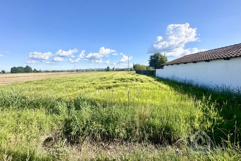 Terra a Chivasso, Turin, Chivasso - € 55.000 | Ref: 55000 Chivasso - foto 7