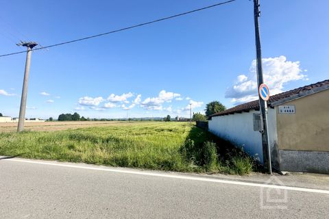 Terra a Chivasso, Turin, Chivasso - € 55.000 | Ref: 55000 Chivasso - foto 8