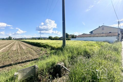Terra a Chivasso, Turin, Chivasso - € 55.000 | Ref: 55000 Chivasso - foto 5