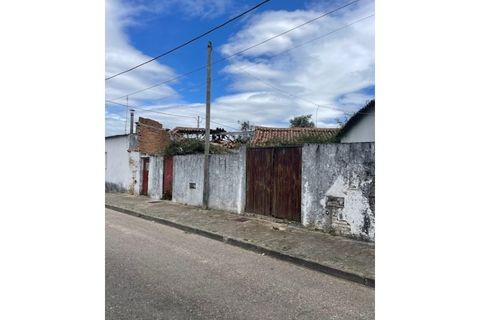 Byhus i Ponte de Sor, Portalegre, Ponte de Sor - € 160.000 | Ref: 859 - foto 4