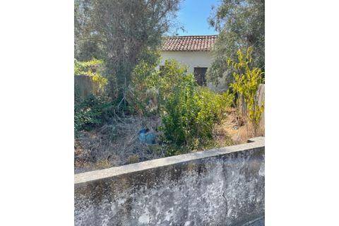 Byhus i Ponte de Sor, Portalegre, Ponte de Sor - € 160.000 | Ref: 859 - foto 7