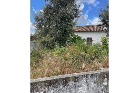 Byhus i Ponte de Sor, Portalegre, Ponte de Sor - € 160.000 | Ref: 859 - foto 8