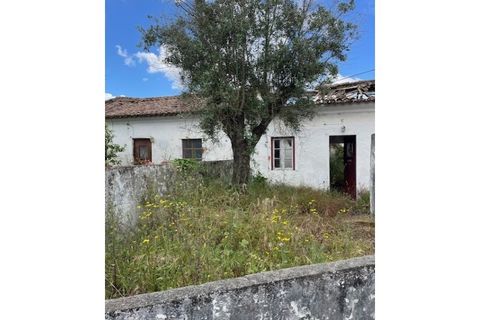 Byhus i Ponte de Sor, Portalegre, Ponte de Sor - € 160.000 | Ref: 859 - foto 10