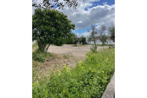 Byhus i Ponte de Sor, Portalegre, Ponte de Sor - € 160.000 | Ref: 859 - foto 11